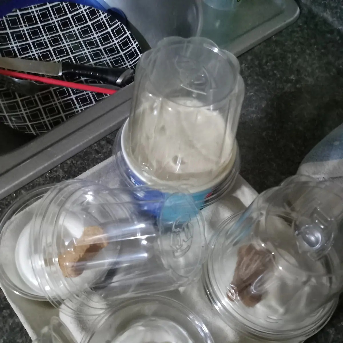 Strawberry Cheesecake and 3 Pup Cups
