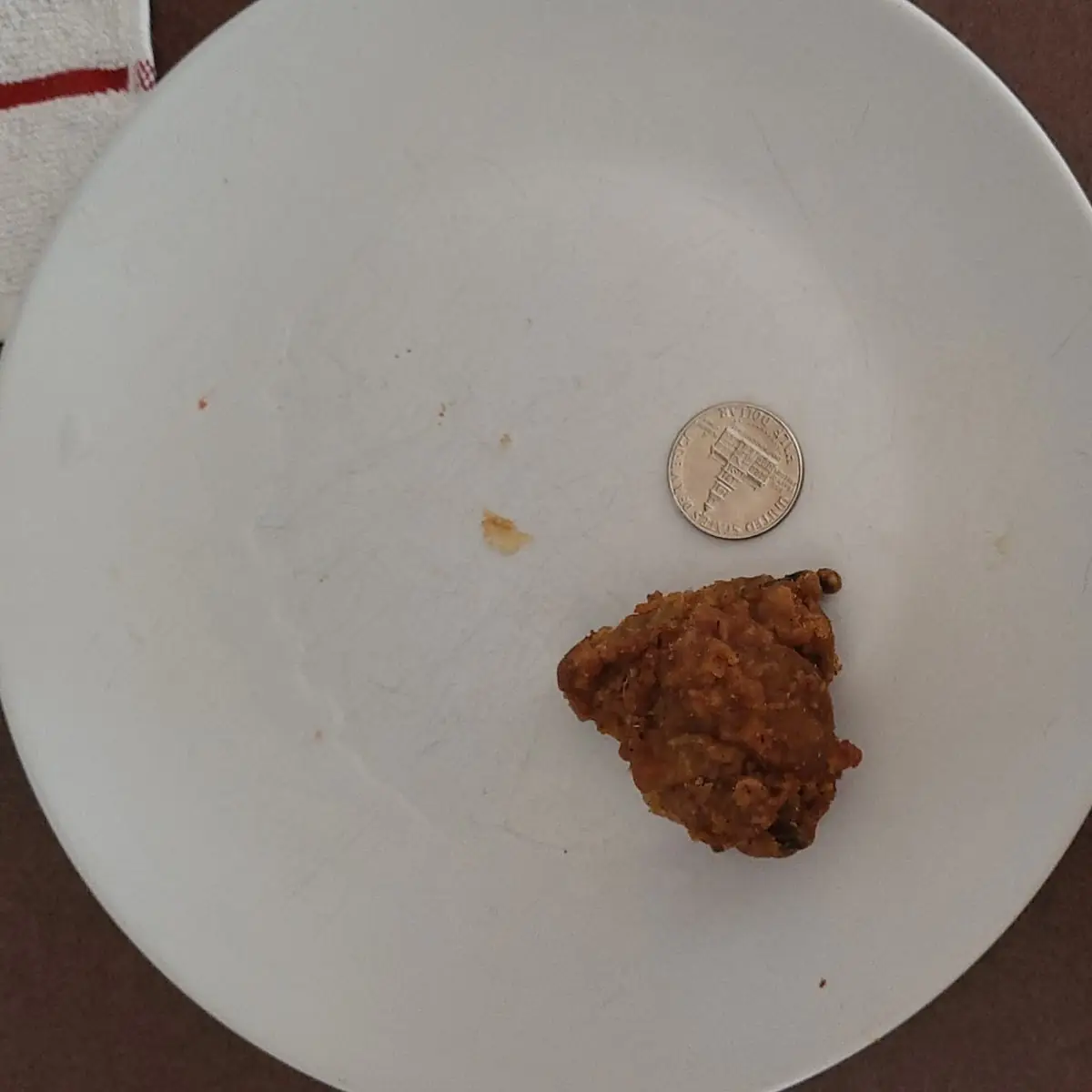 Fried Chicken Breast