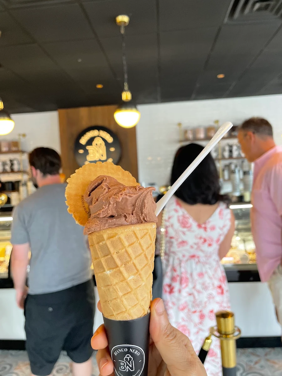 Double Scoop Waffle Cone Gelato