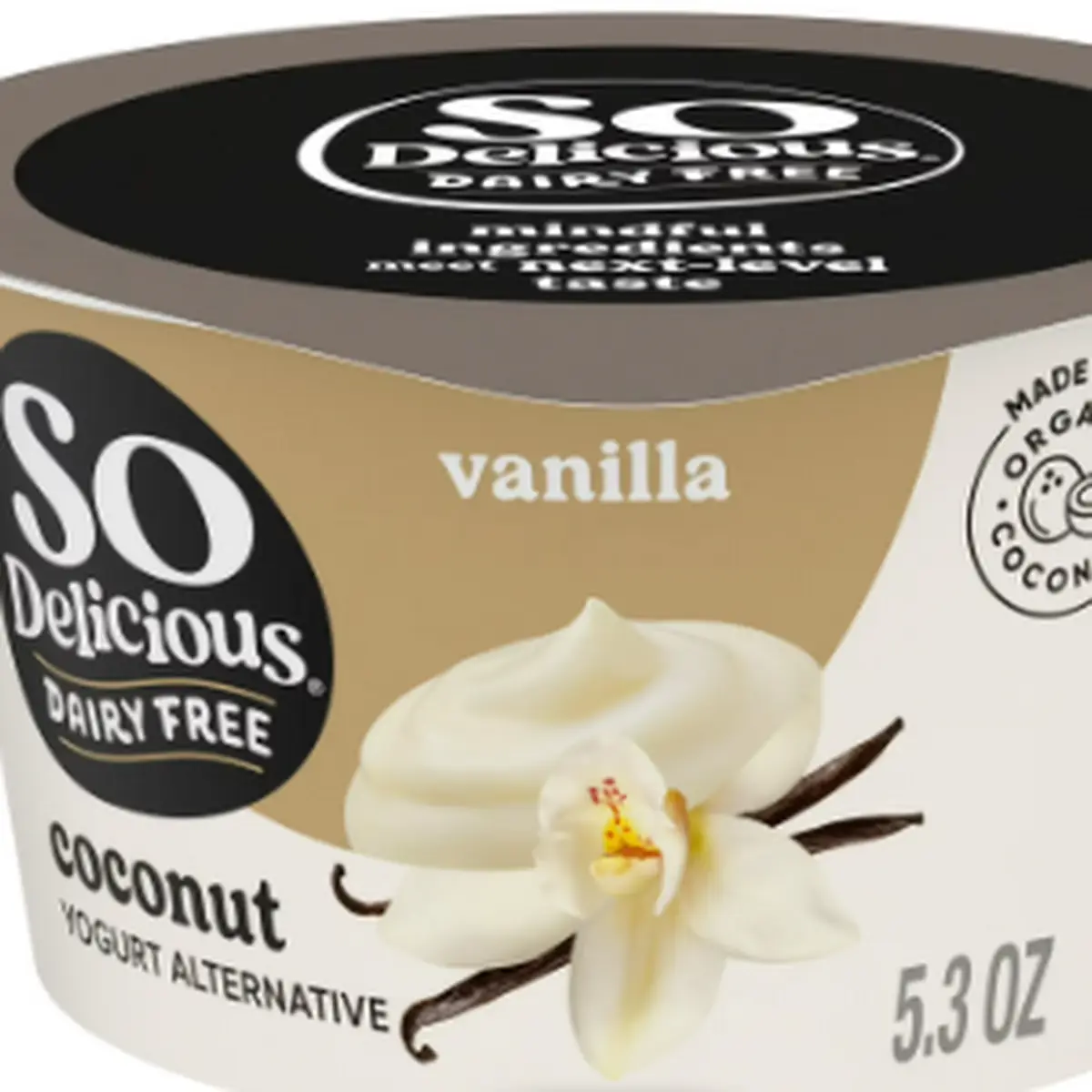 Non-Dairy Yogurt