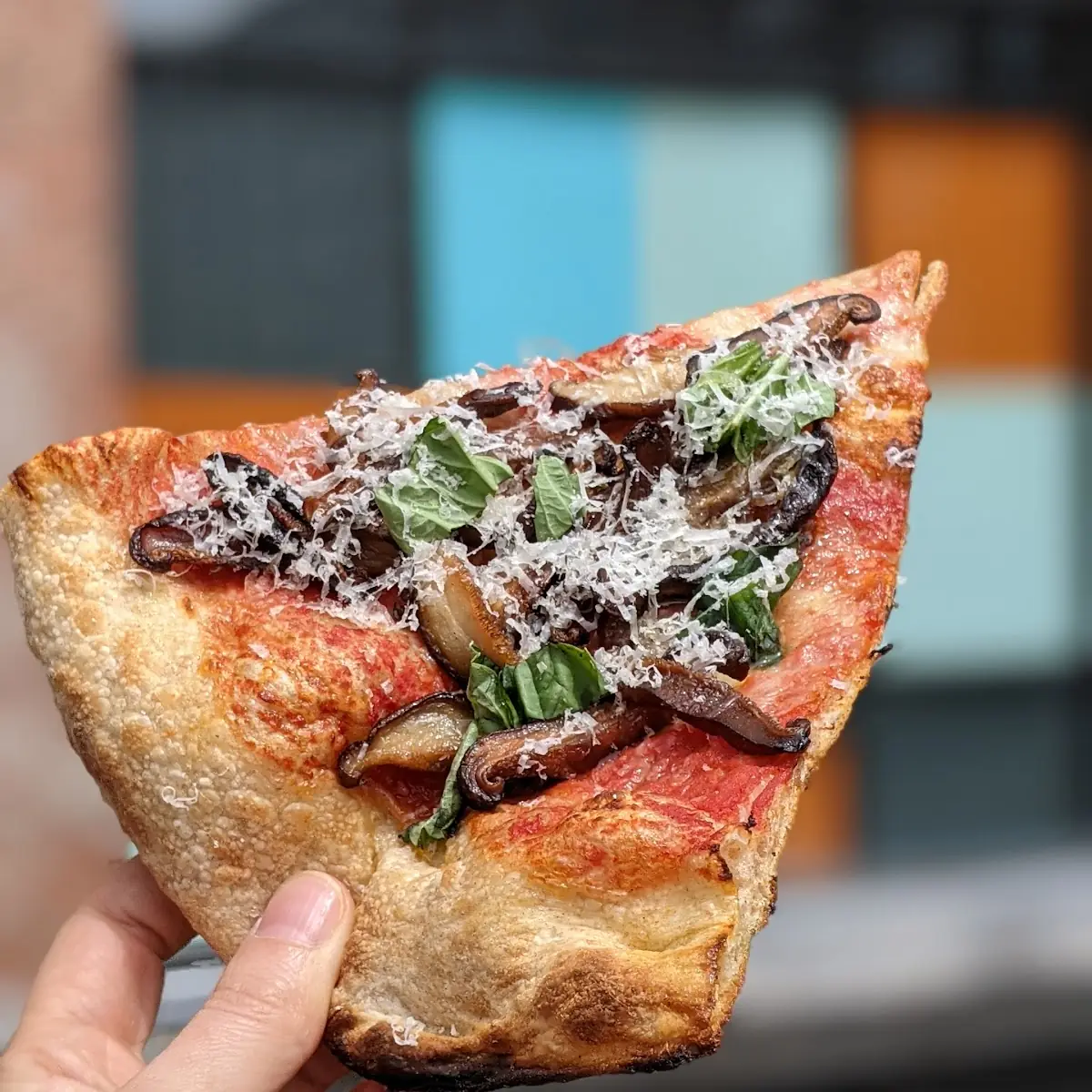 Mushroom Pizza by the Slice