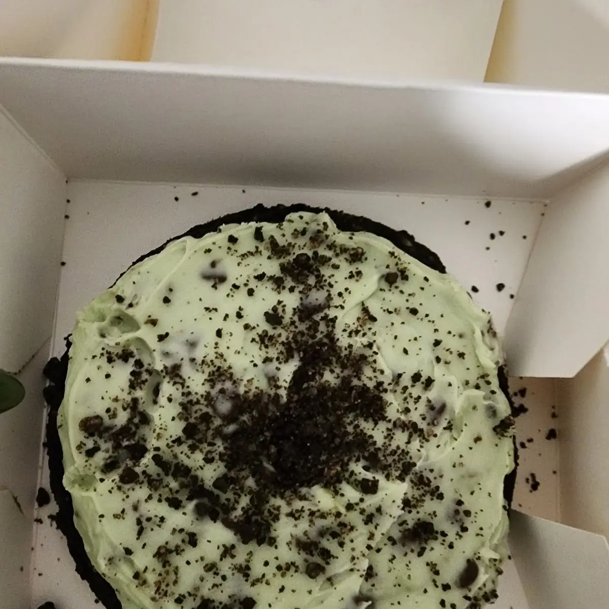 Andes Mint Chocolate