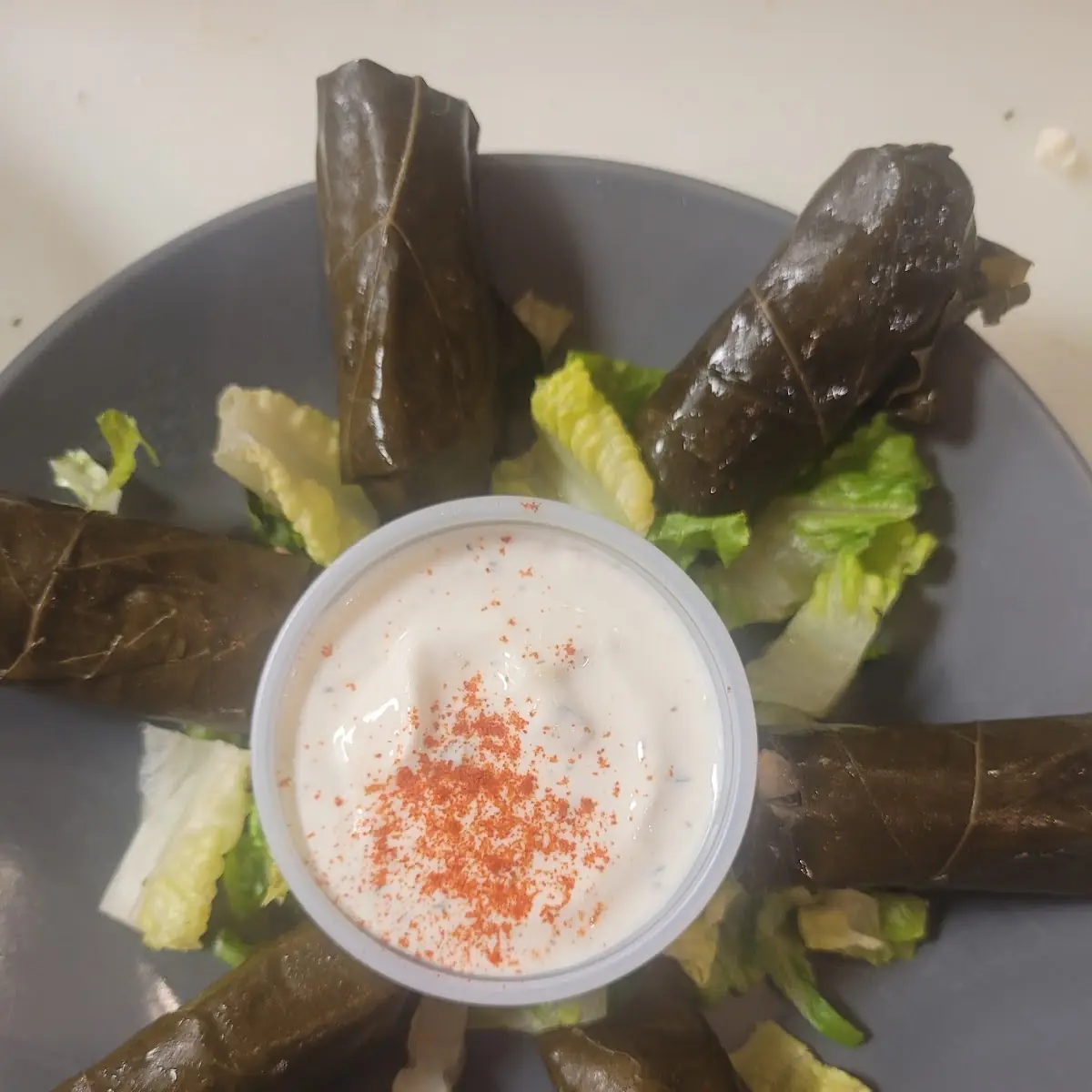 Grape Leaves Appetizer