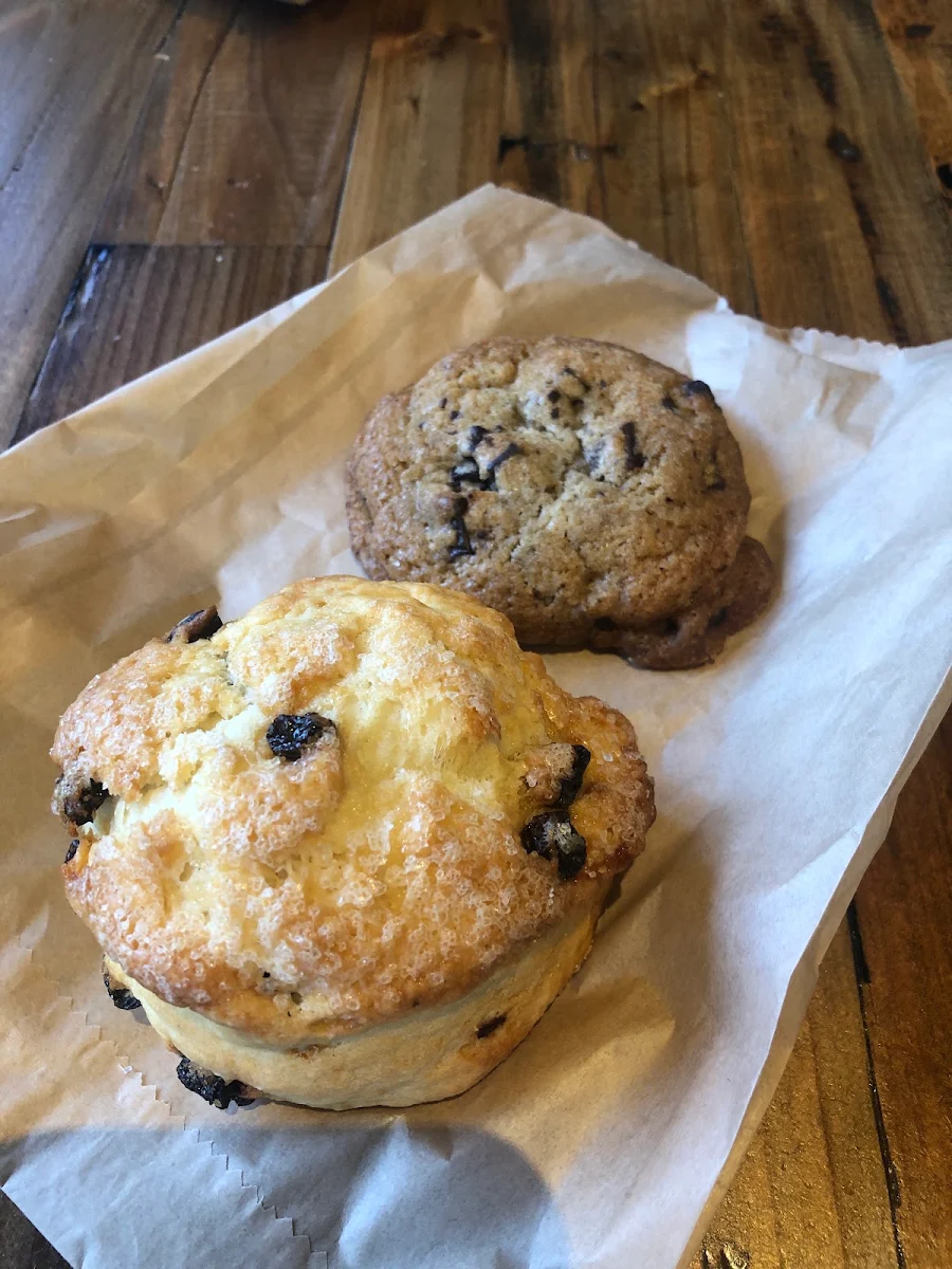 Blueberry Muffin