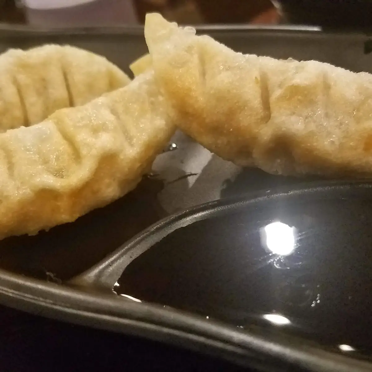 Pork Gyoza Dumplings