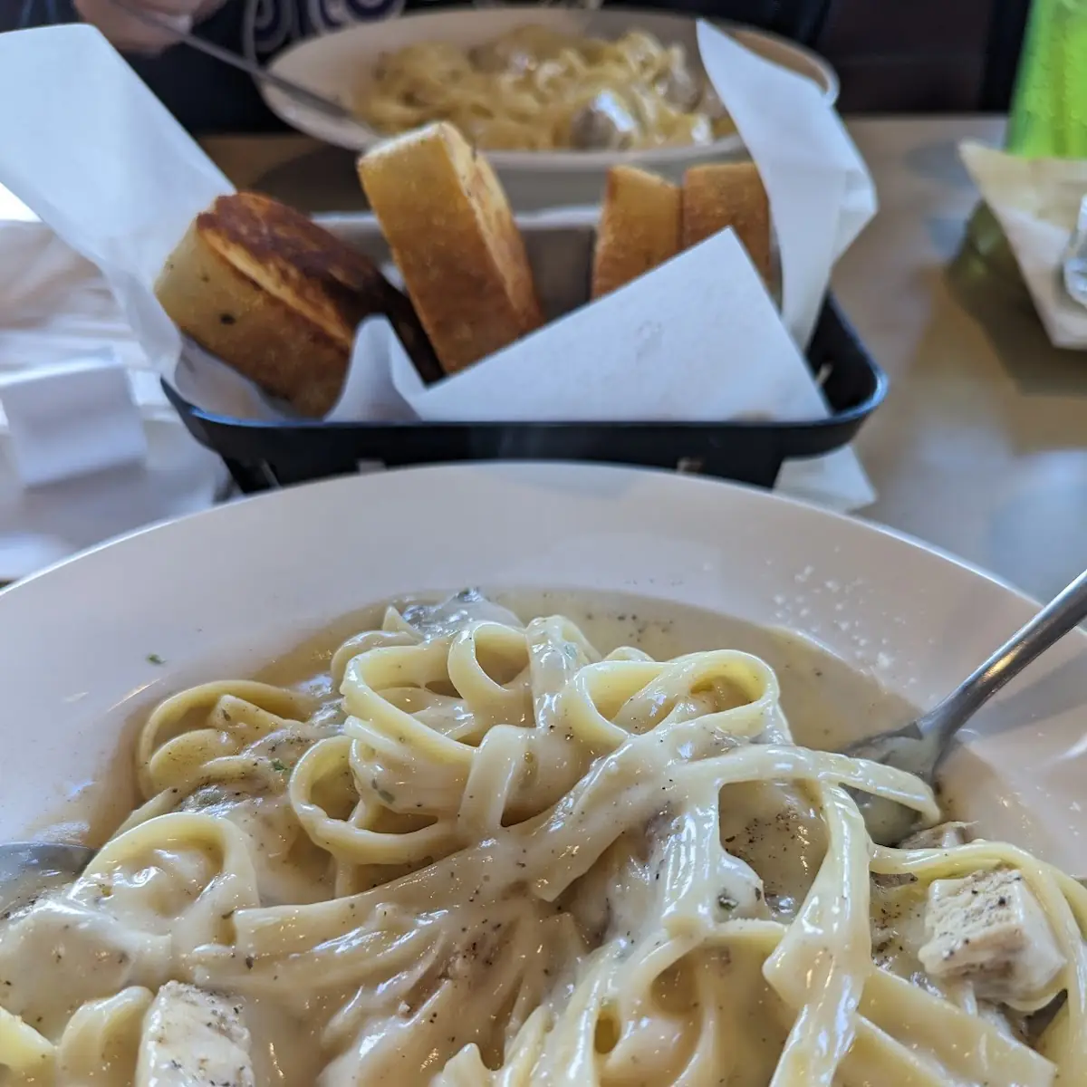 Creamy Alfredo Pasta