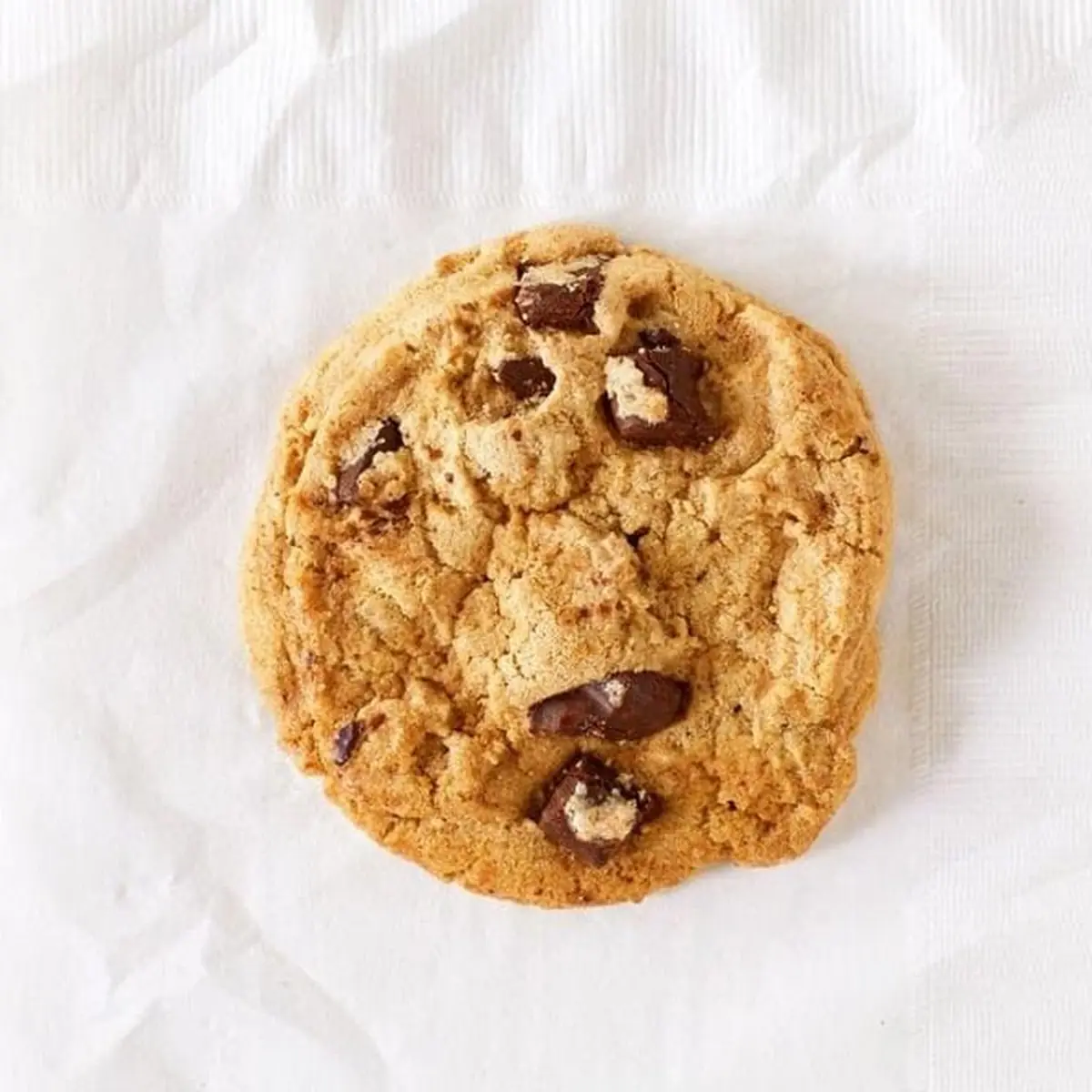 Chocolate Chip Cookie