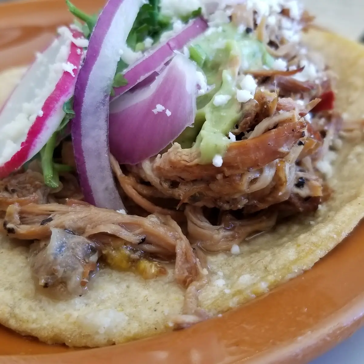 Carnitas Taco