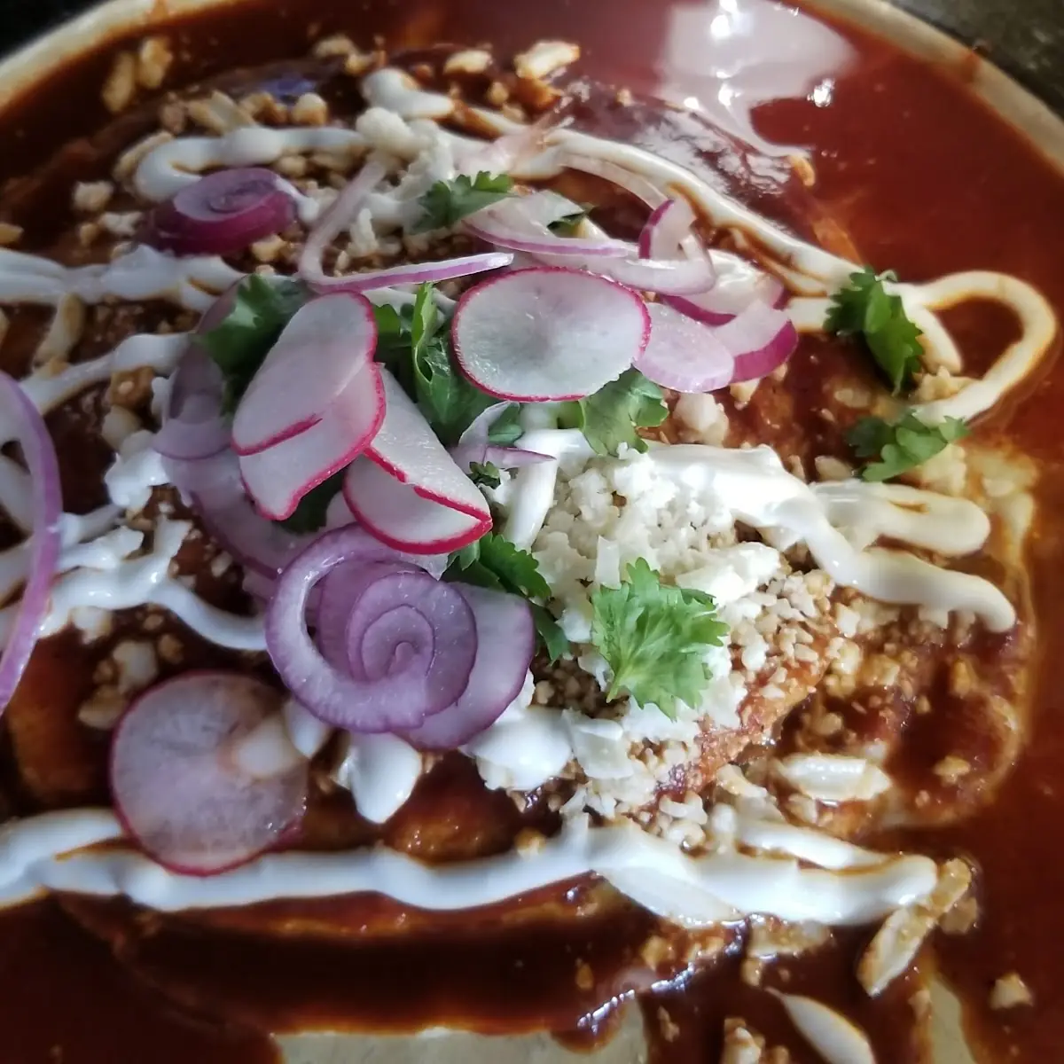 Short Rib Enchiladas