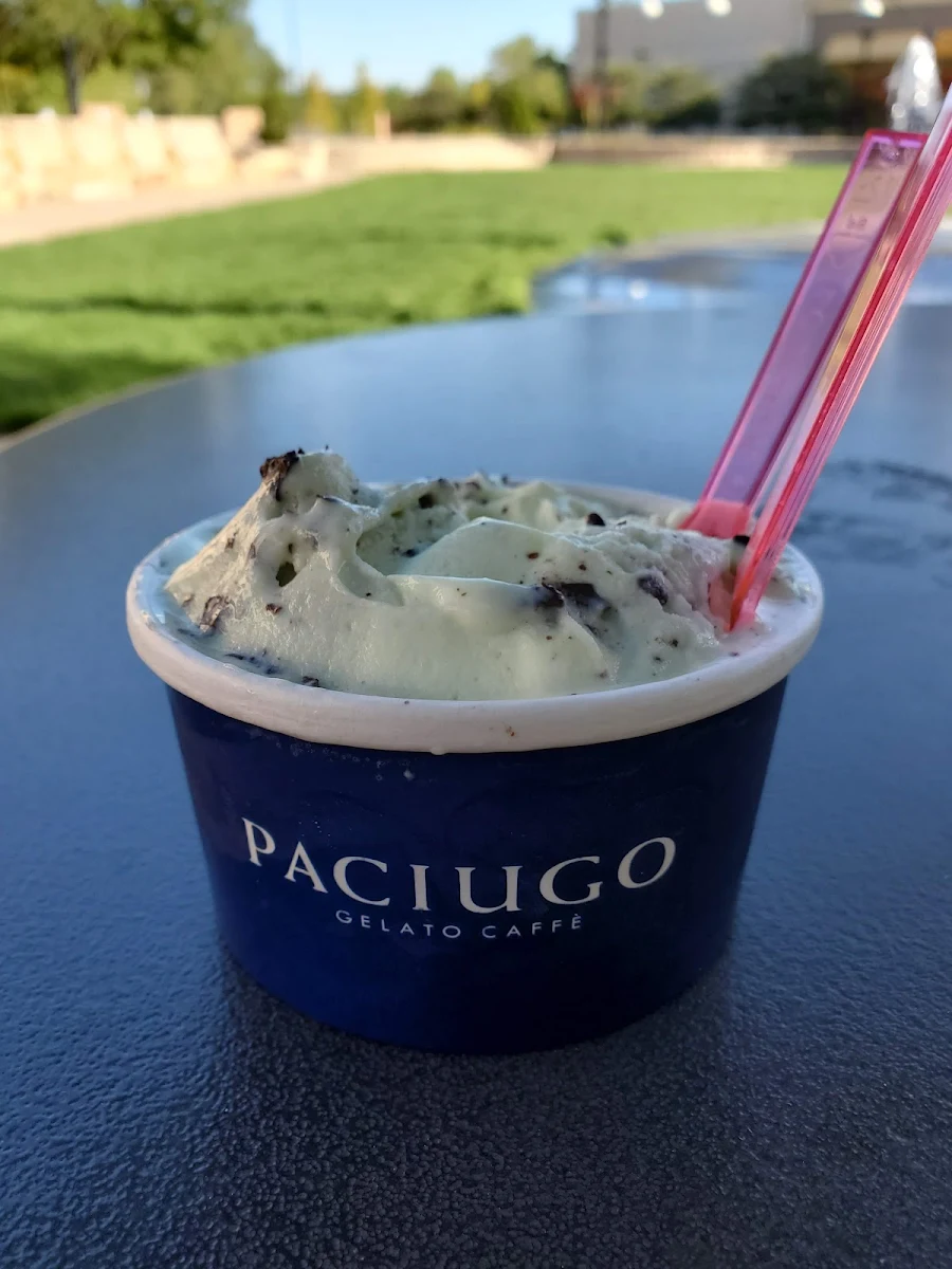 Mint Chocolate Chip Gelato