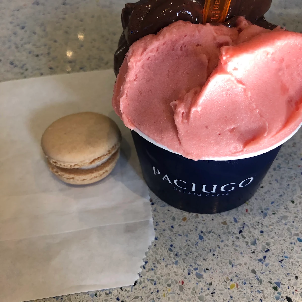 Vegan Dark Chocolate Gelato