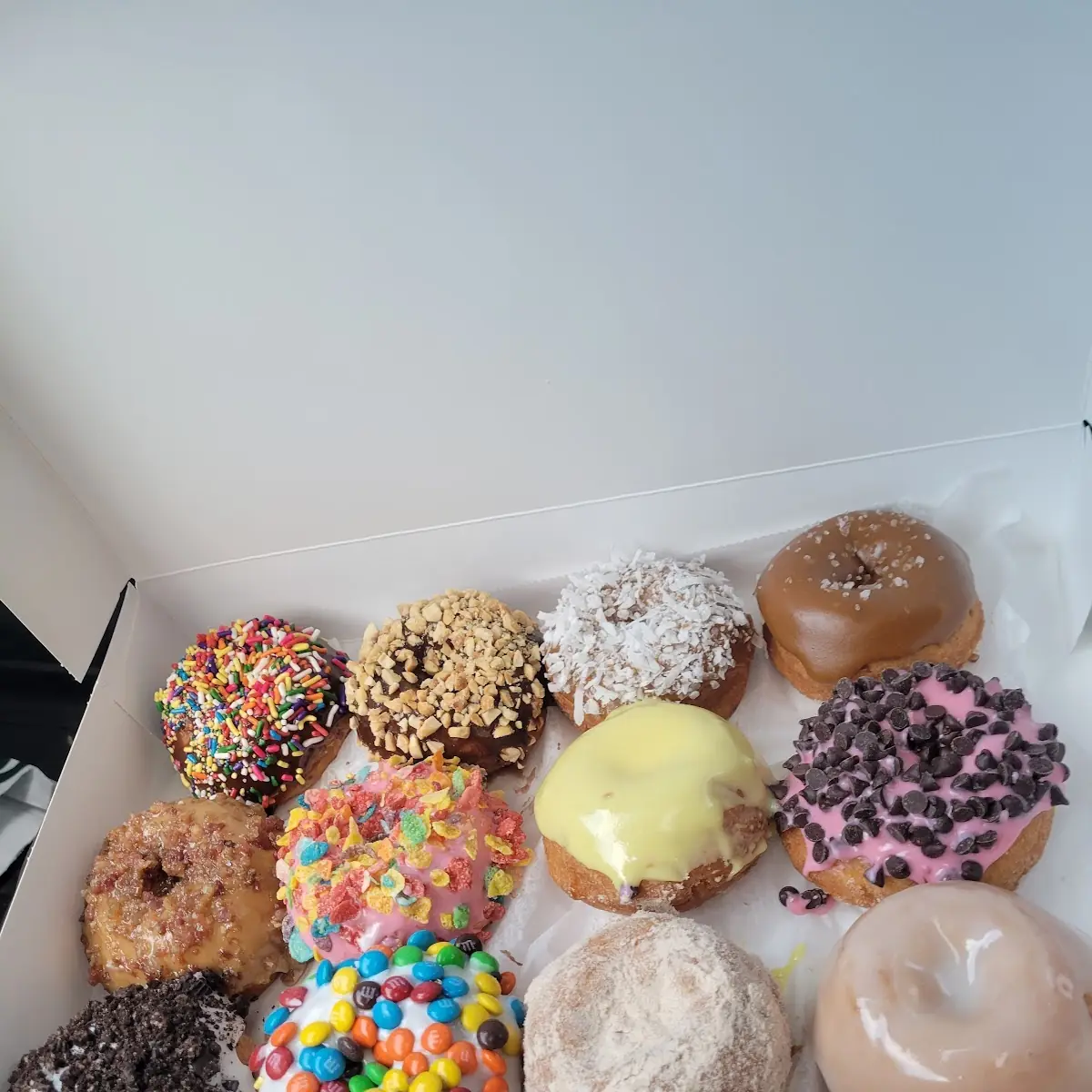 Doughnut