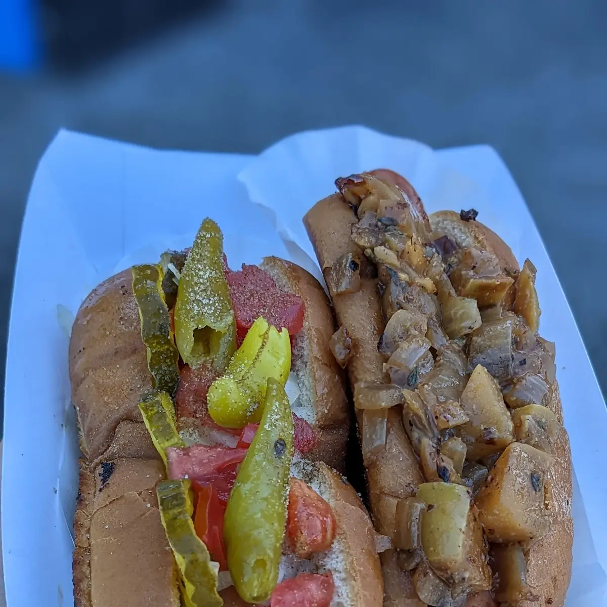 Chicago Dog