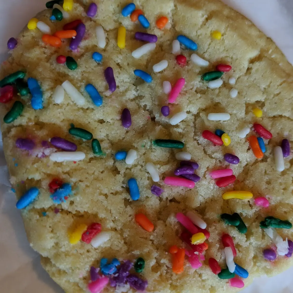 Sugar Cookie