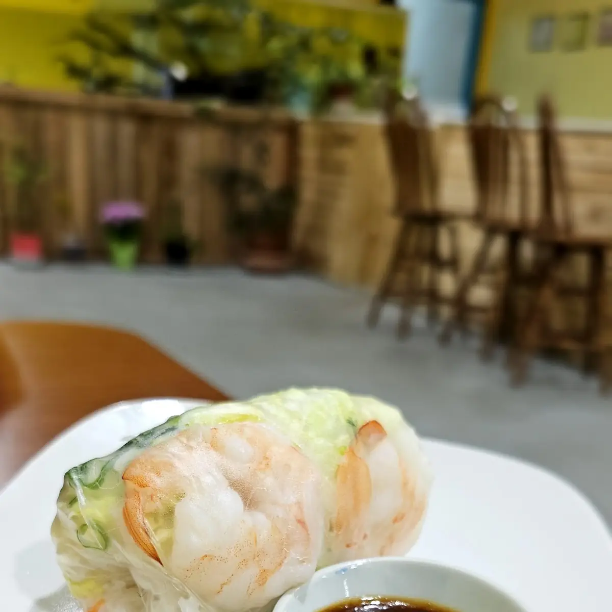 Vietnamese Spring Roll