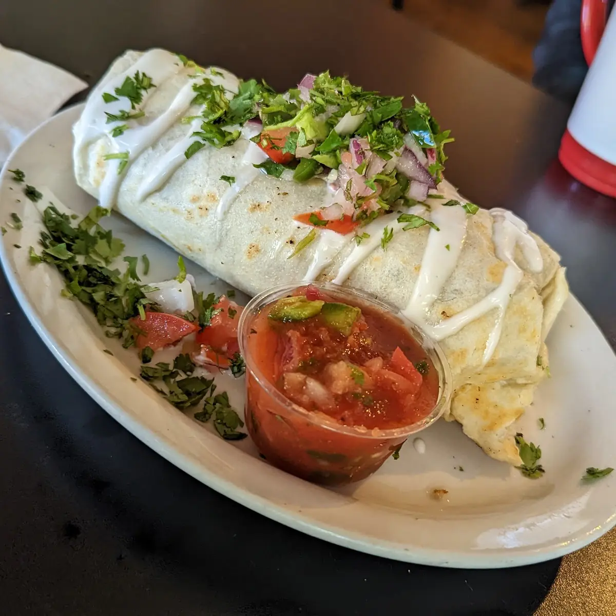 Vegetarian Burrito with Salsa