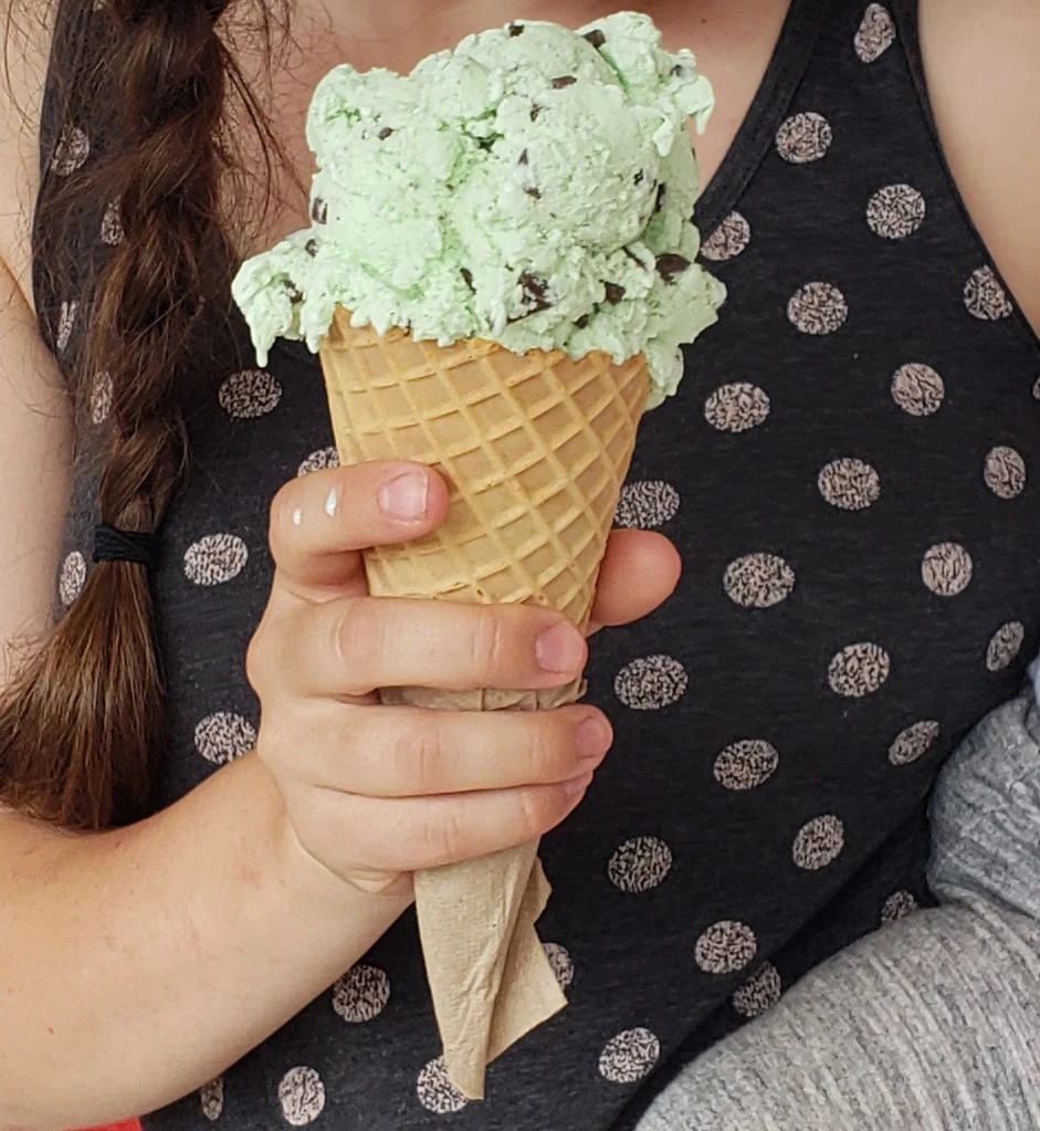 Mint Chocolate Chip