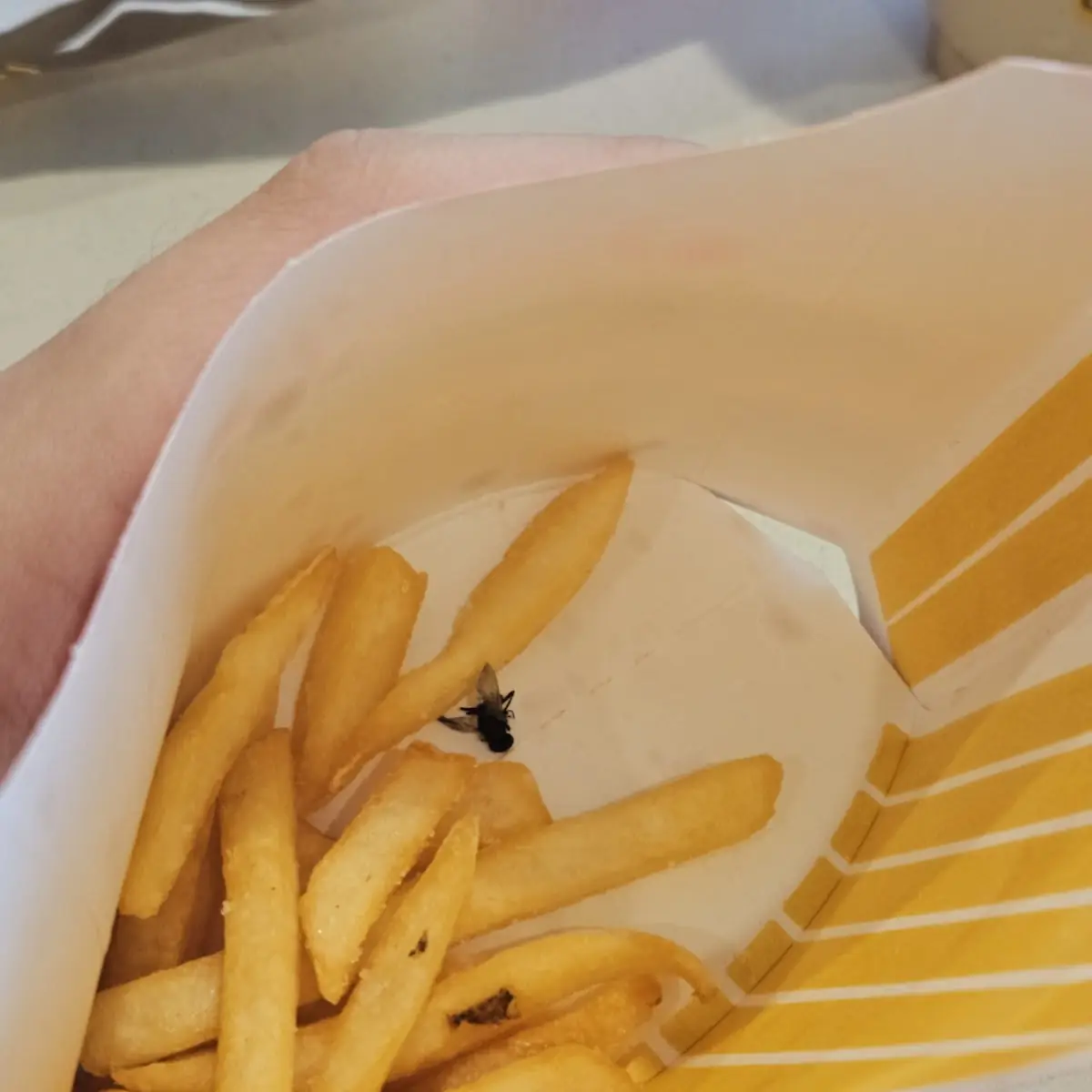 World Famous Fries