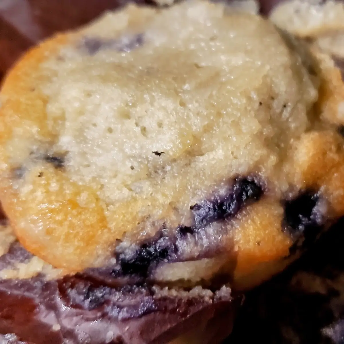 Blueberry Muffin