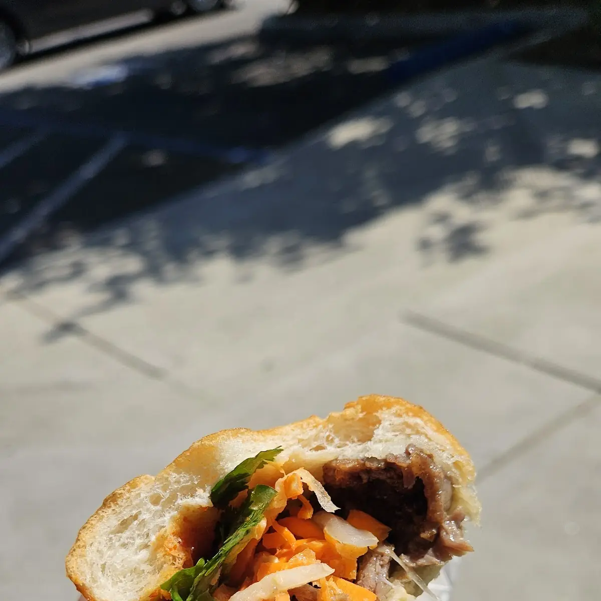 Steak Sandwich