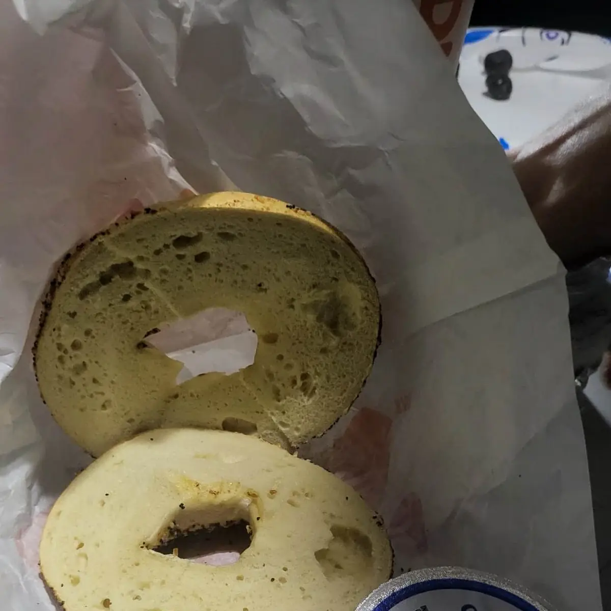 Everything Bagel with Cheese