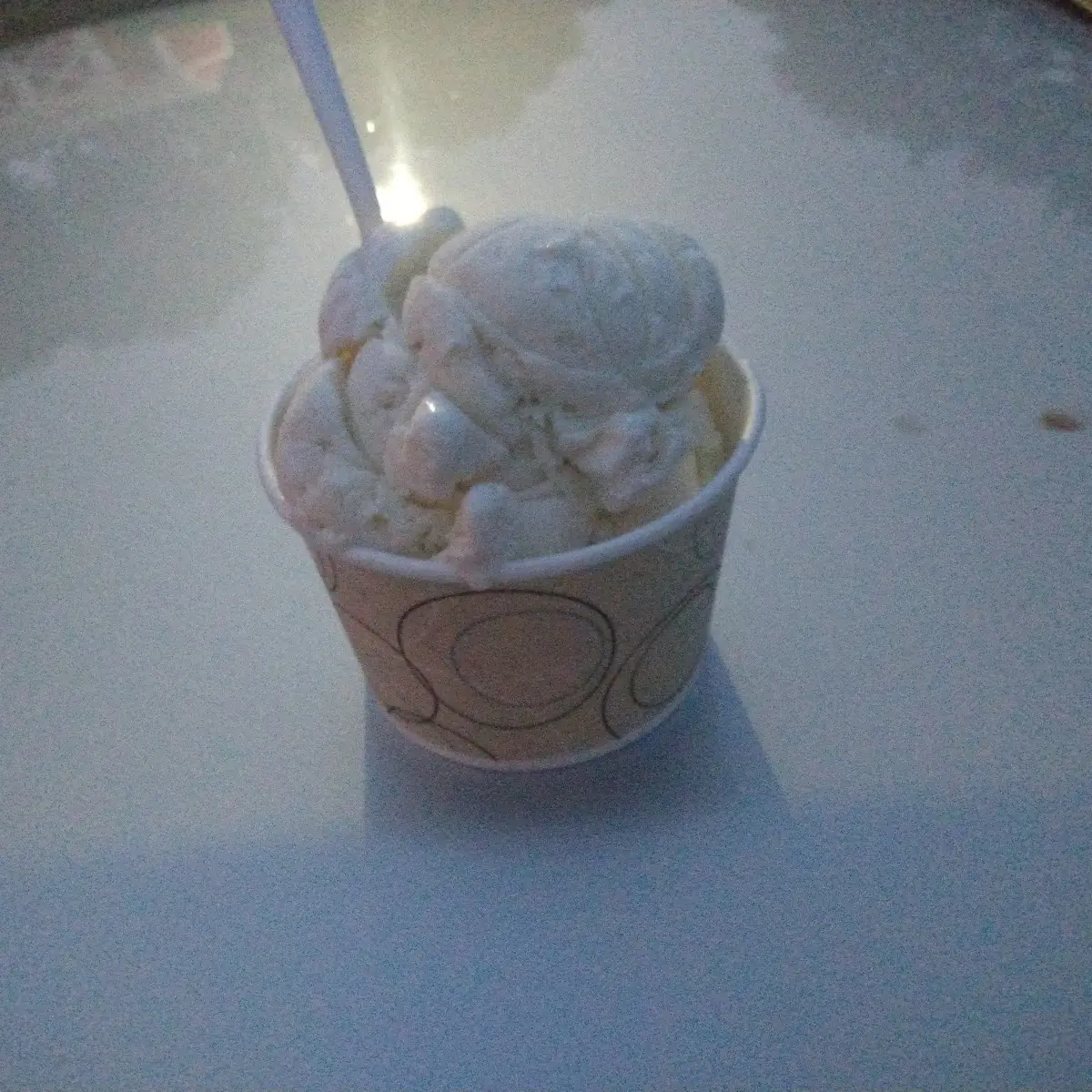 Madagascar Vanilla Ice Cream
