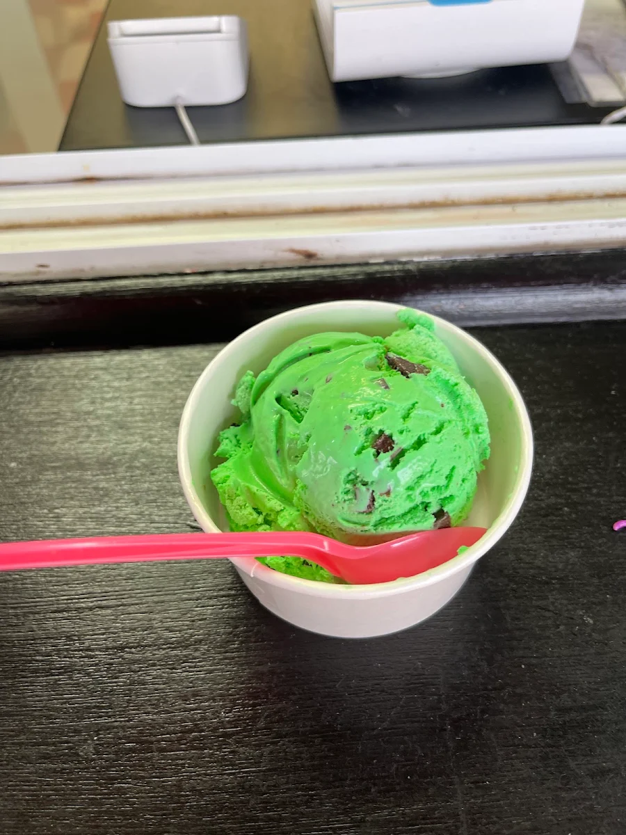 Mint Chocolate Chip Ice Cream
