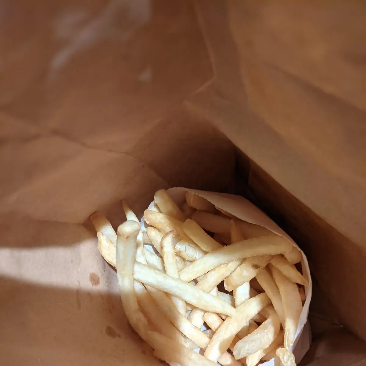 Large Fries with Hair in Them