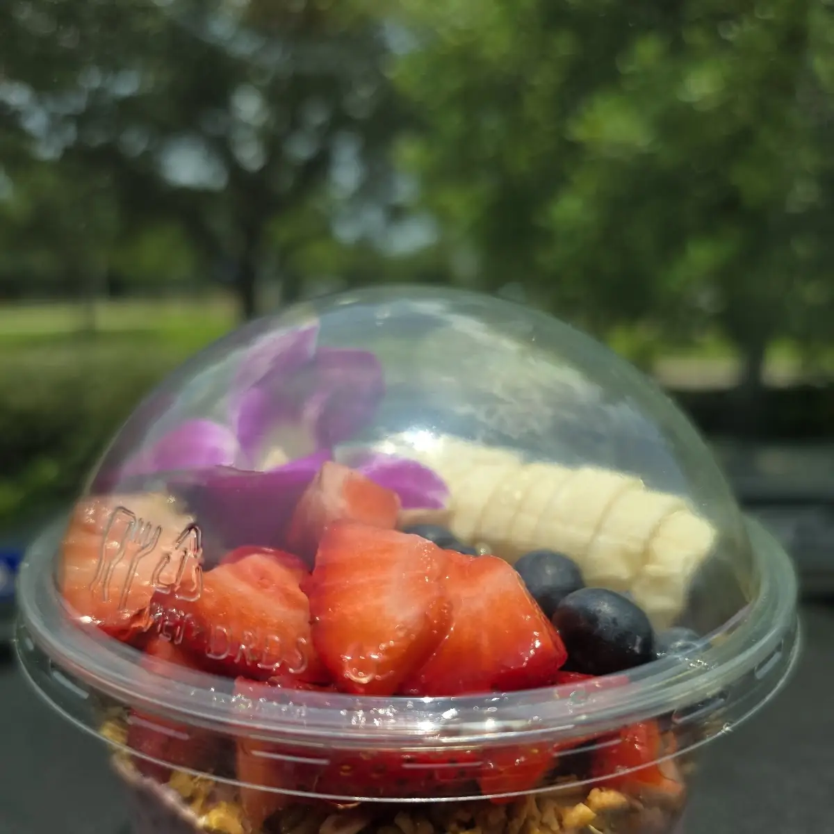 Strawberry Chia Pudding