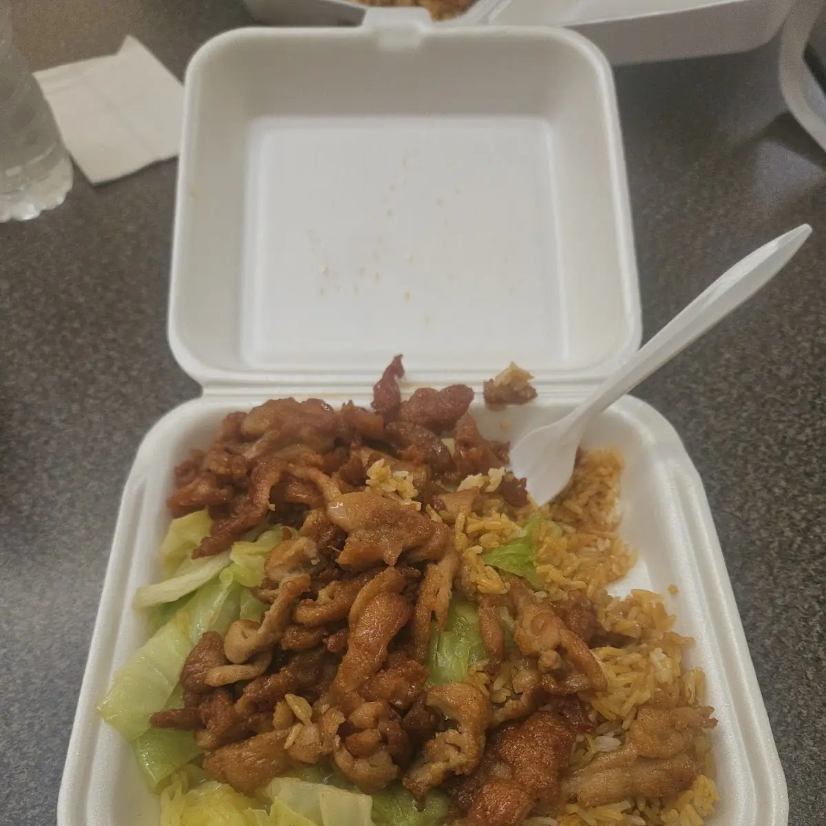 Chicken Teriyaki Extra Chicken
