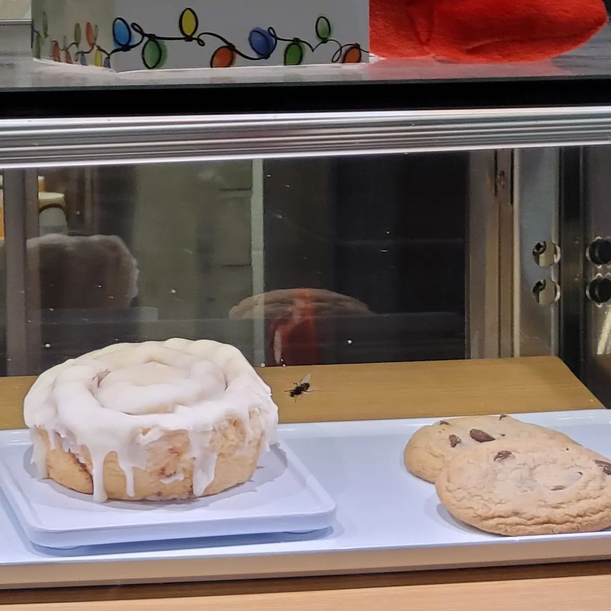 Cinnamon Roll