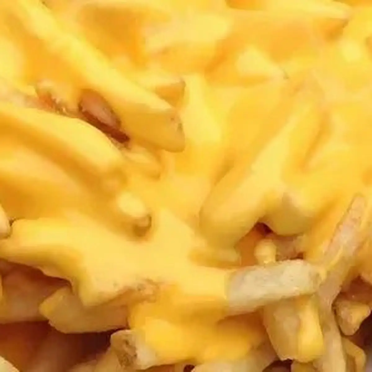 Cheese Fries