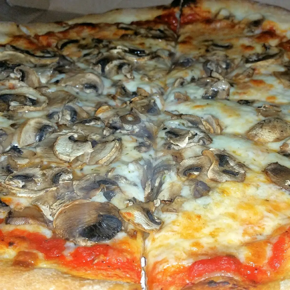 Mushroom Pizza