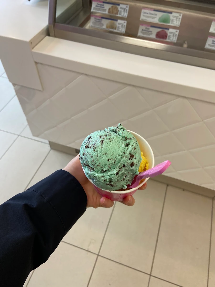 Mint Chocolate Chip, Baskin-Robbins