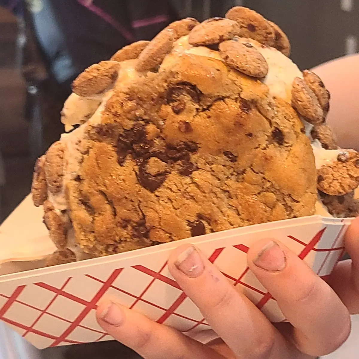 Chocolate Chip Cookie