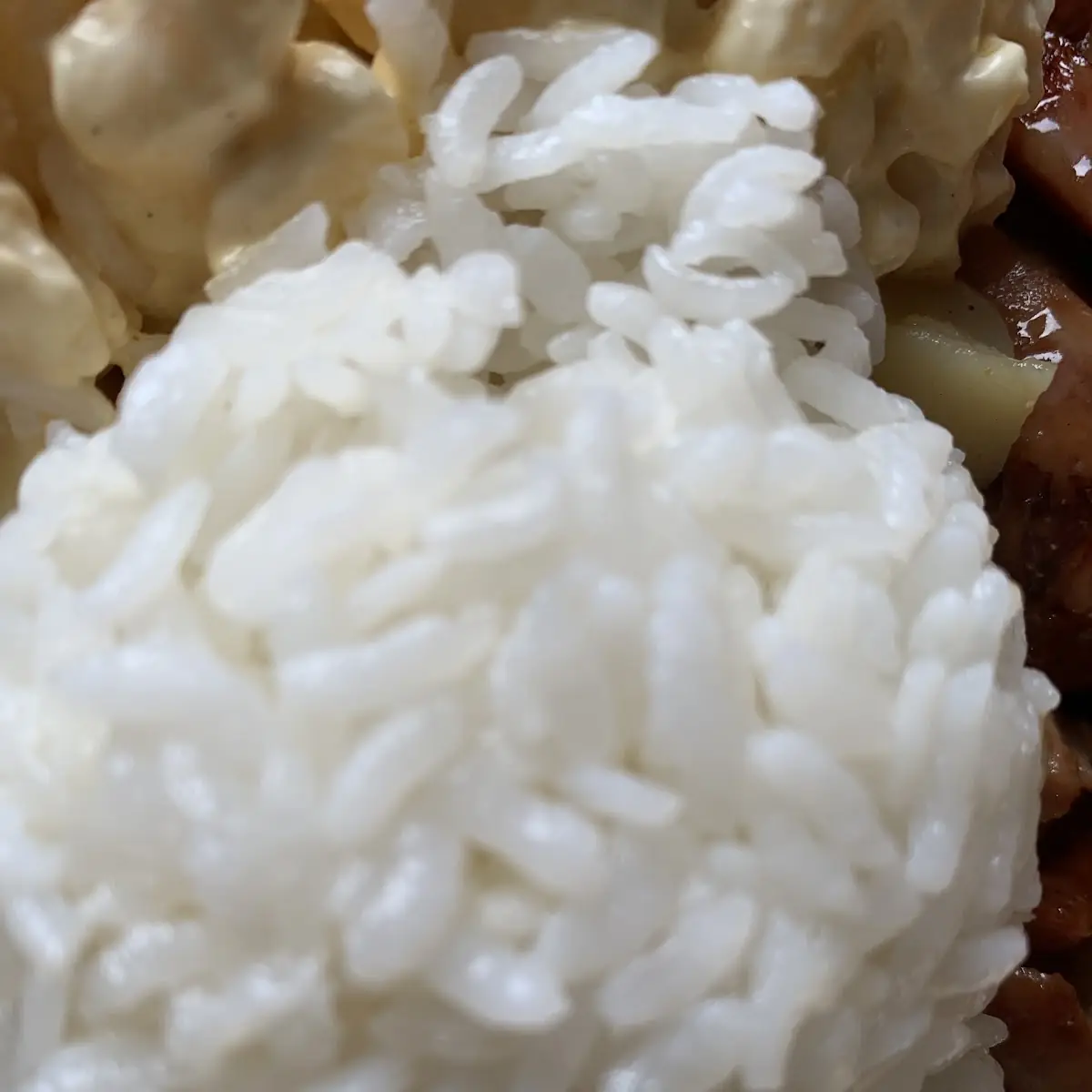 Steamed Rice