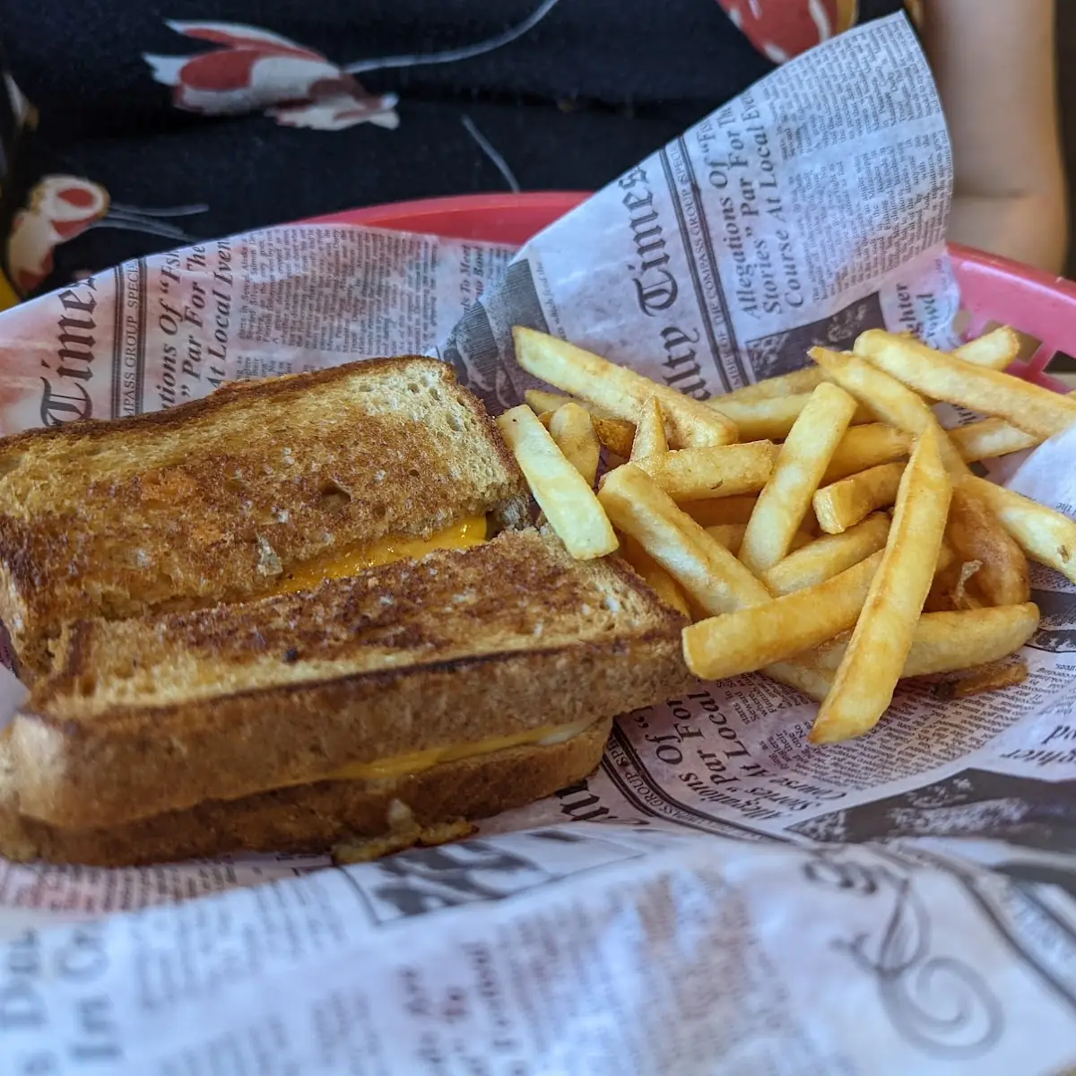 Cheese Sandwich and Fries