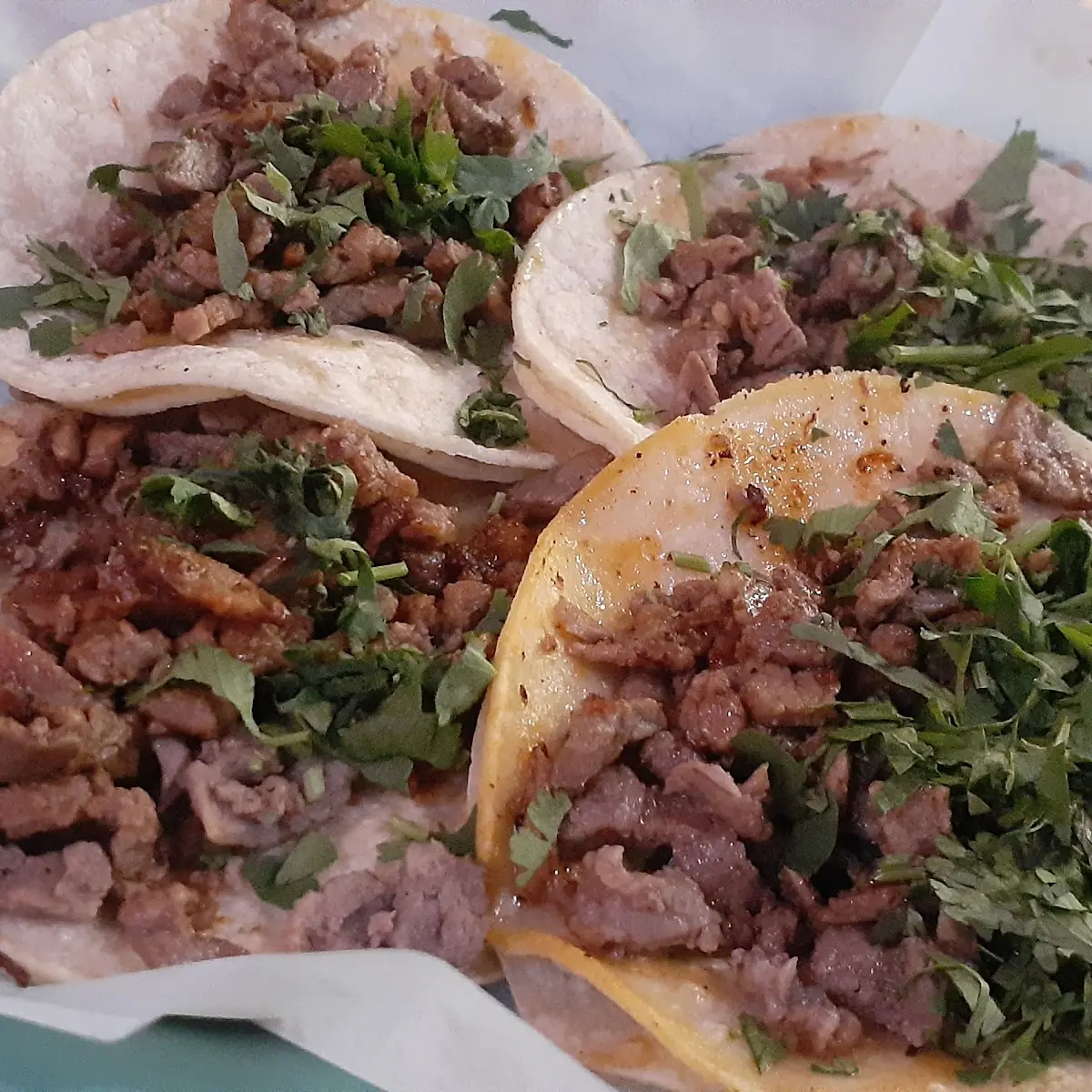 Assorted Soft Shell Tacos with Cilantro
