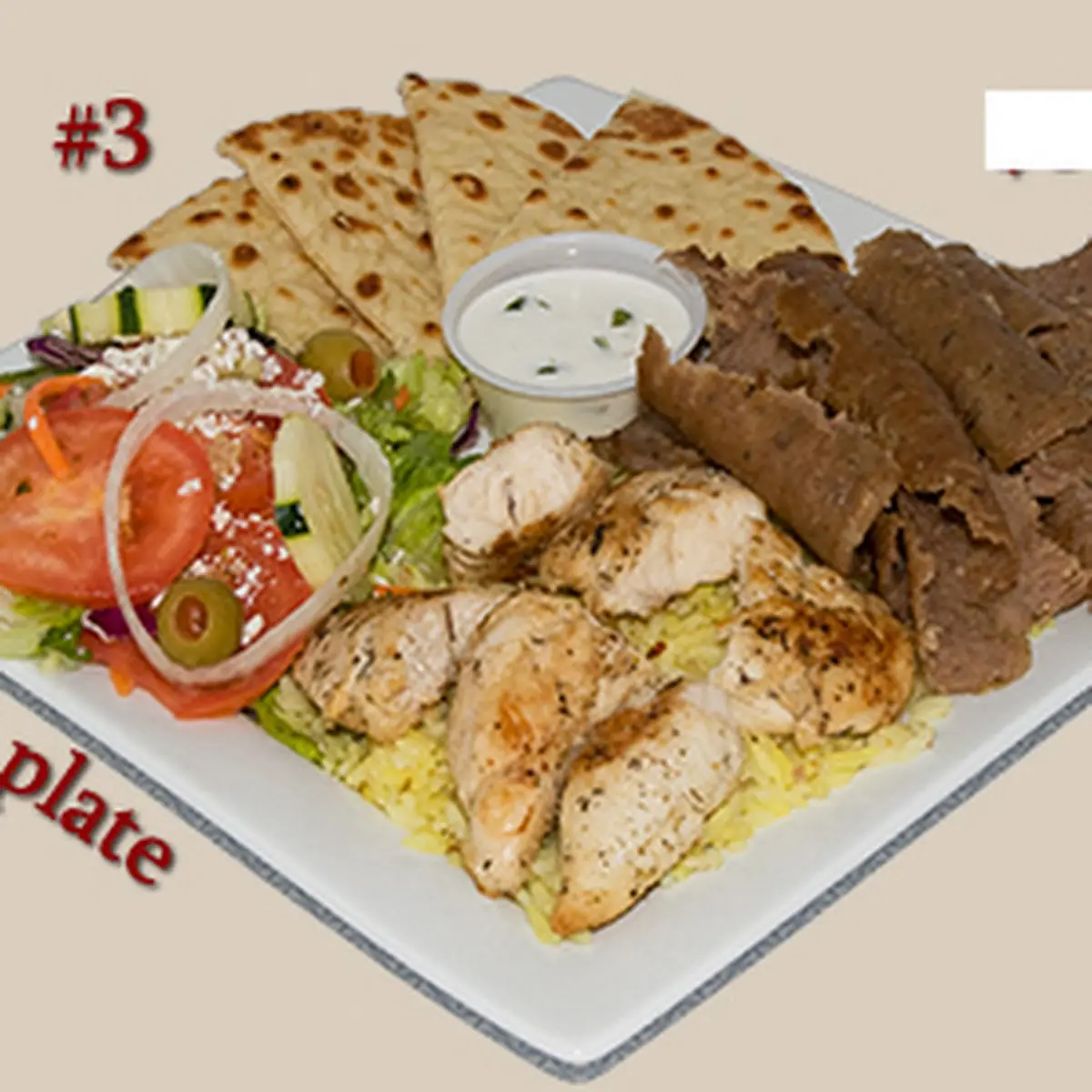 Gyro Plate