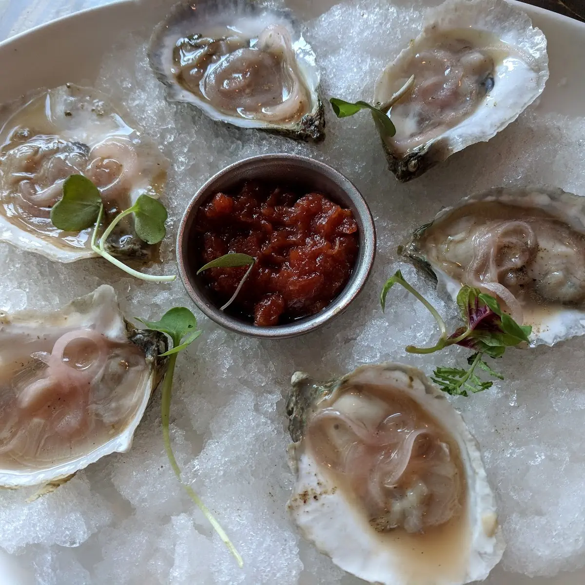 Raw Oysters on the Half Shell