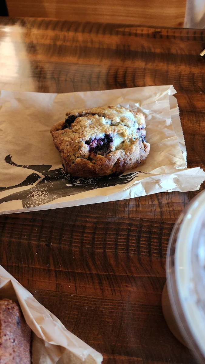 Blueberry Muffin