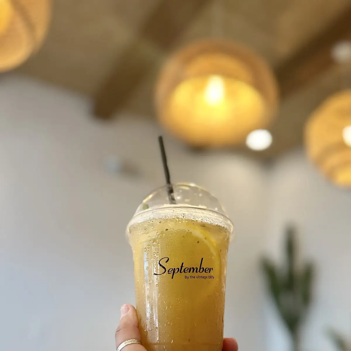 Soursop Tea