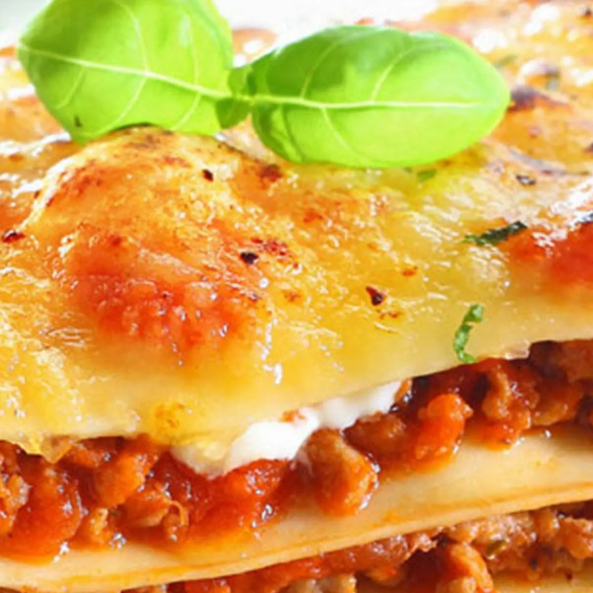 Lasagna Alforno