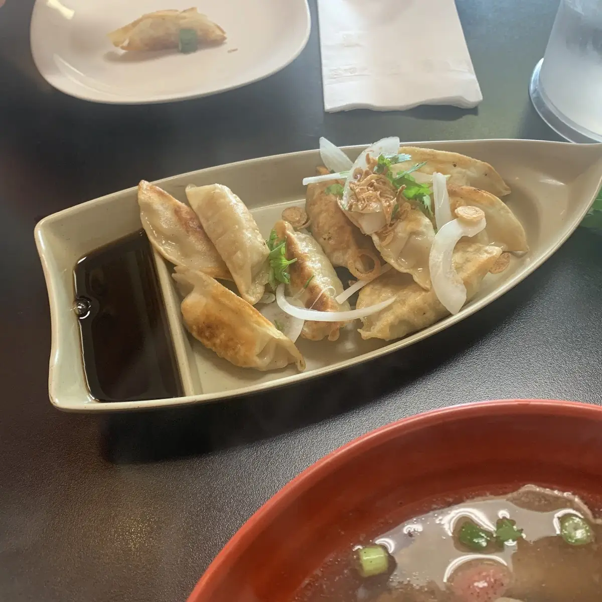 Fried Chicken Dumplings