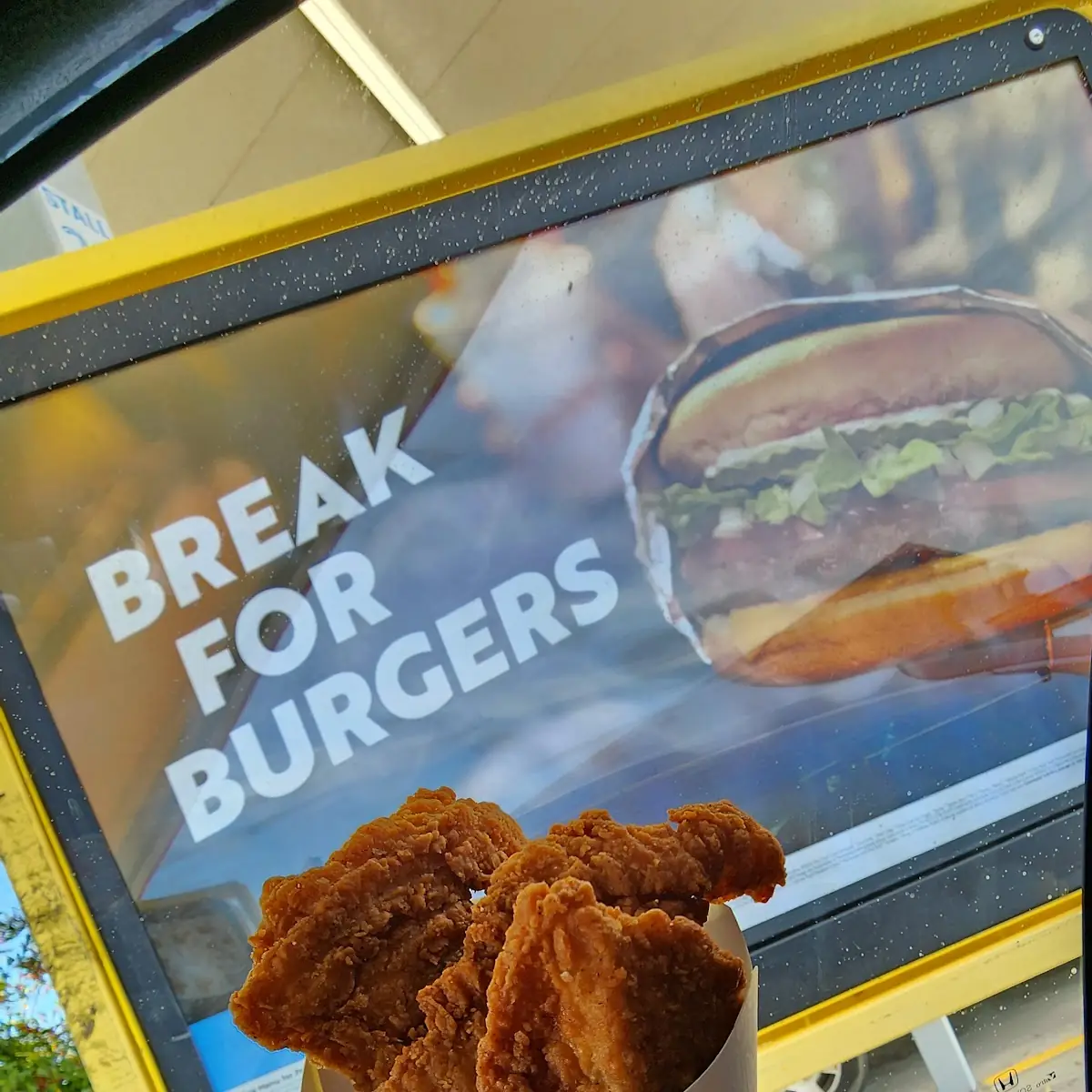 Crispy Chicken Tenders
