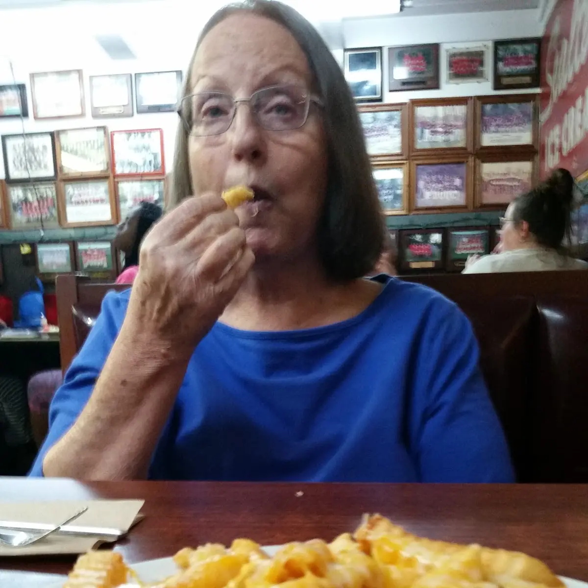 Cheese Fries