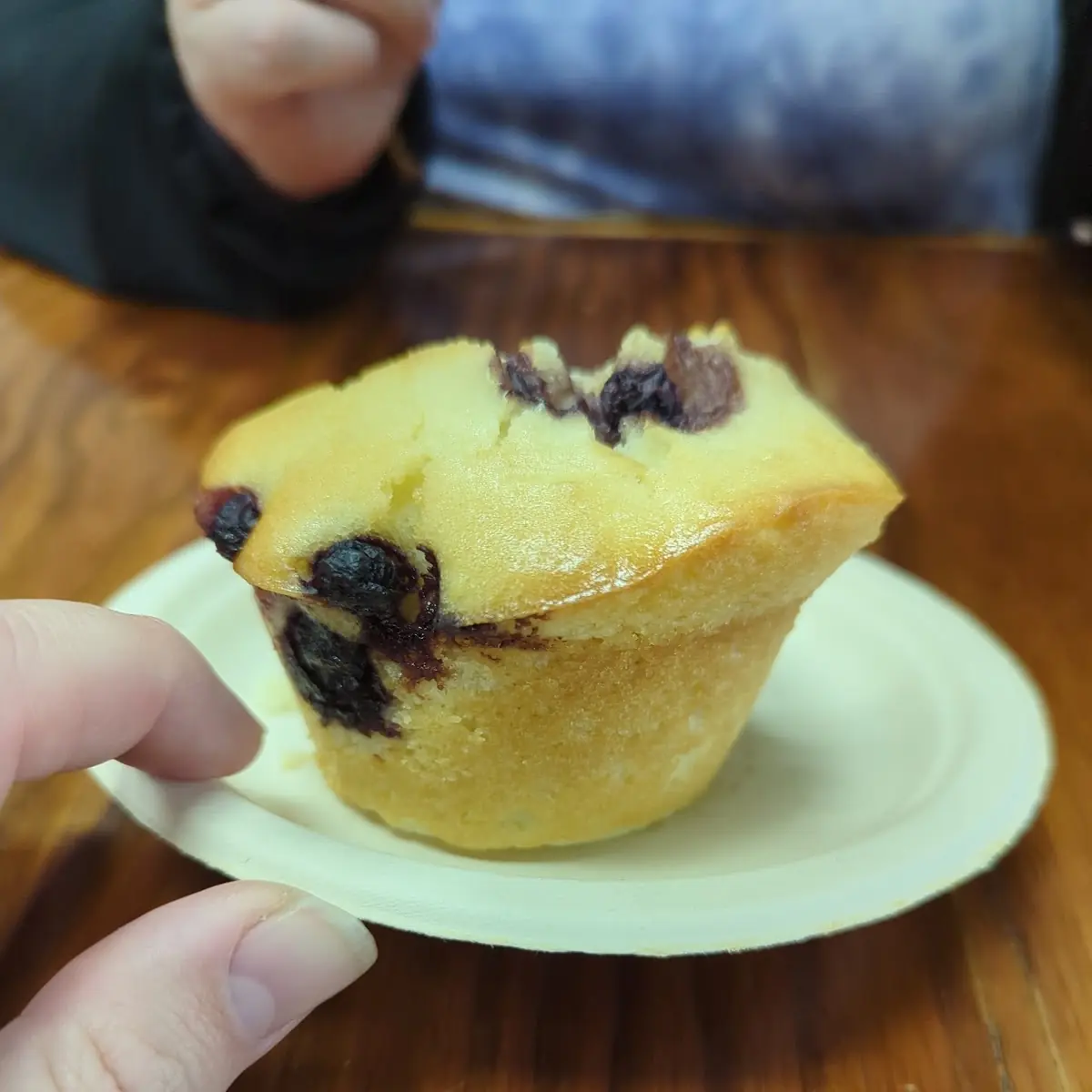 Blueberry Muffin