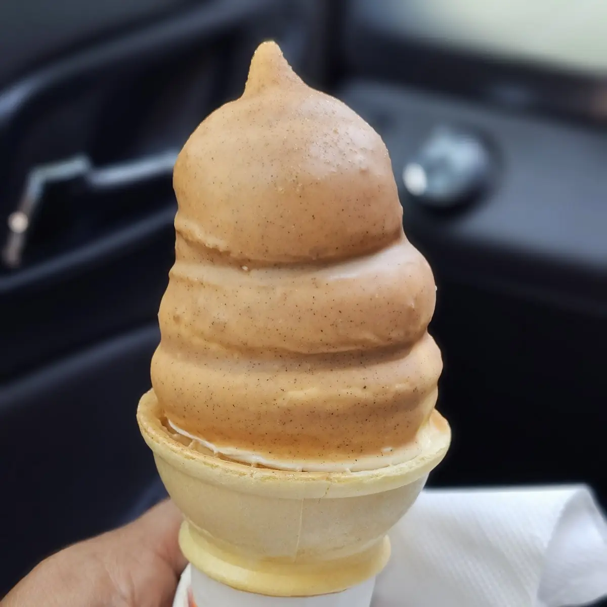 Churro Dip Vanilla Cone