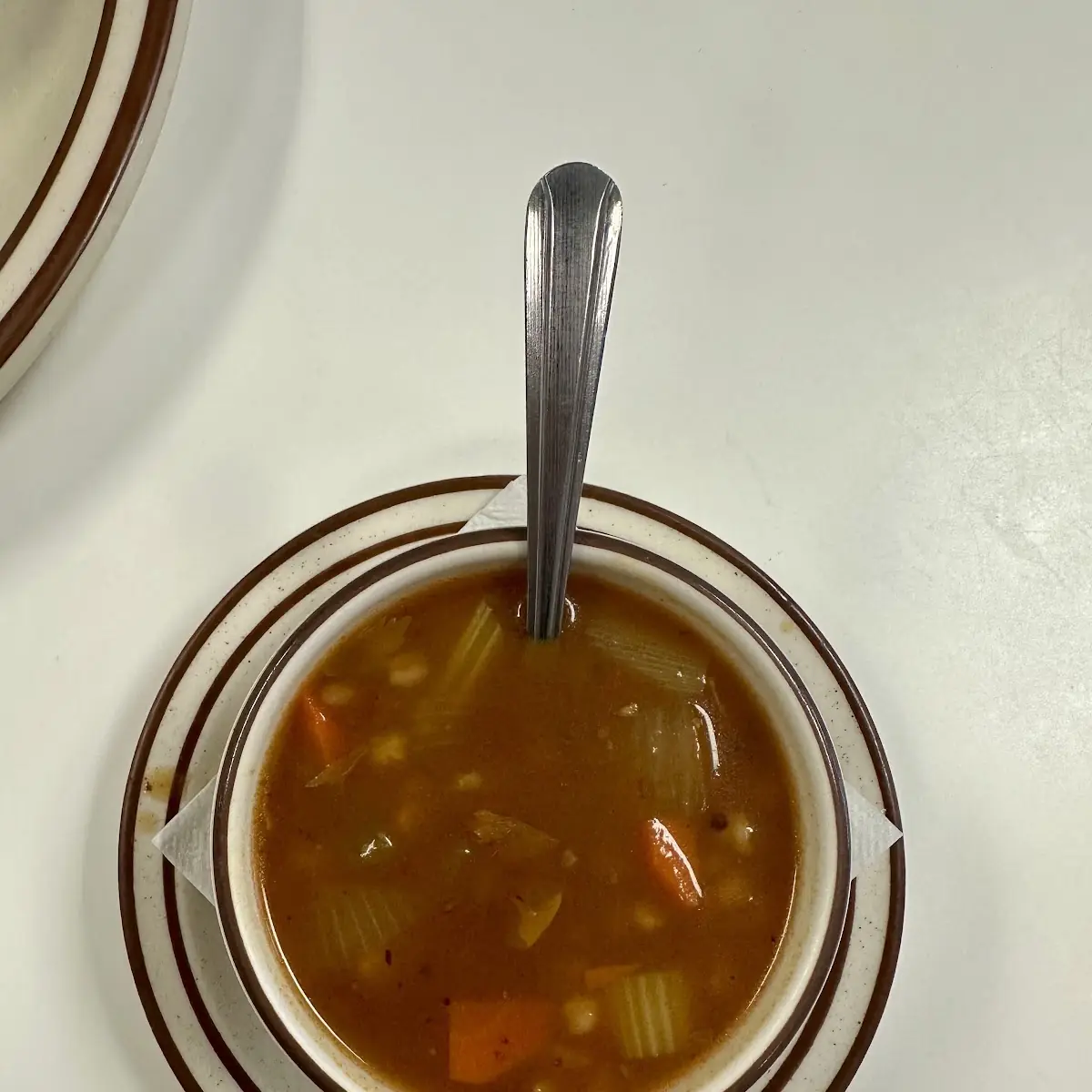 Vegetable Soup