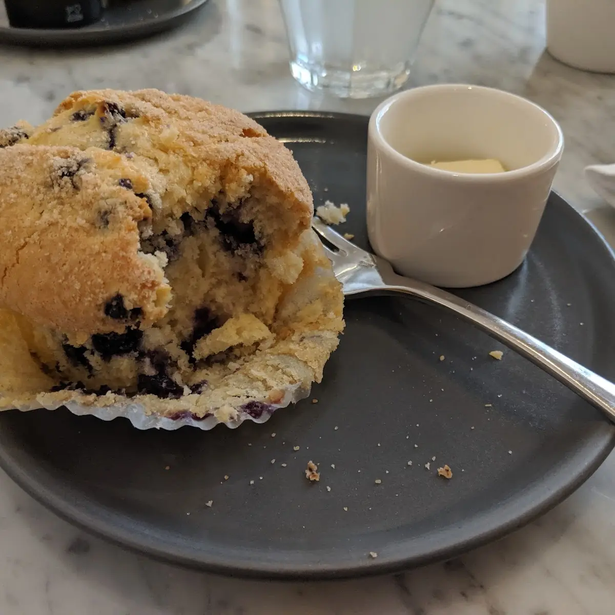 Blueberry Muffin